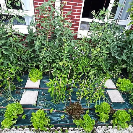 Casa Erostarbe Appartement Castro Urdiales
